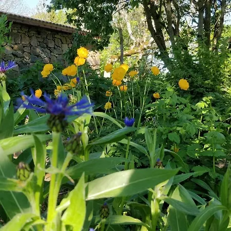 Uneallika Puhkemaja-kuelalistemaja Pae