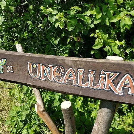 Uneallika Puhkemaja-kuelalistemaja 別荘 *