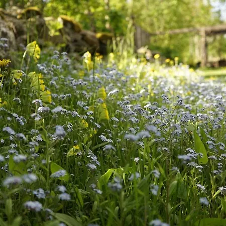 Nyaraló Uneallika Puhkemaja-kuelalistemaja *