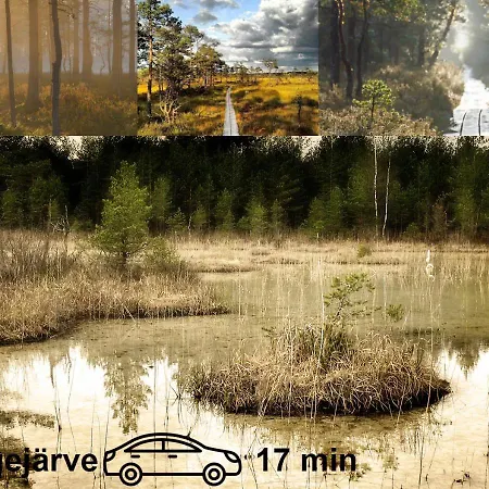 Uneallika Puhkemaja-kuelalistemaja 別荘