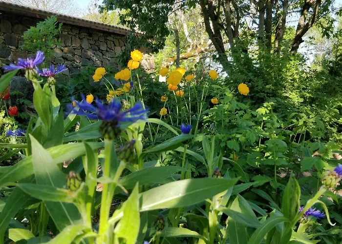 Uneallika Puhkemaja-kuelalistemaja Pae