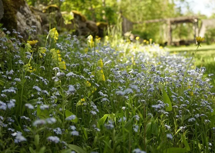 Hébergement de vacances Uneallika Puhkemaja-kuelalistemaja *