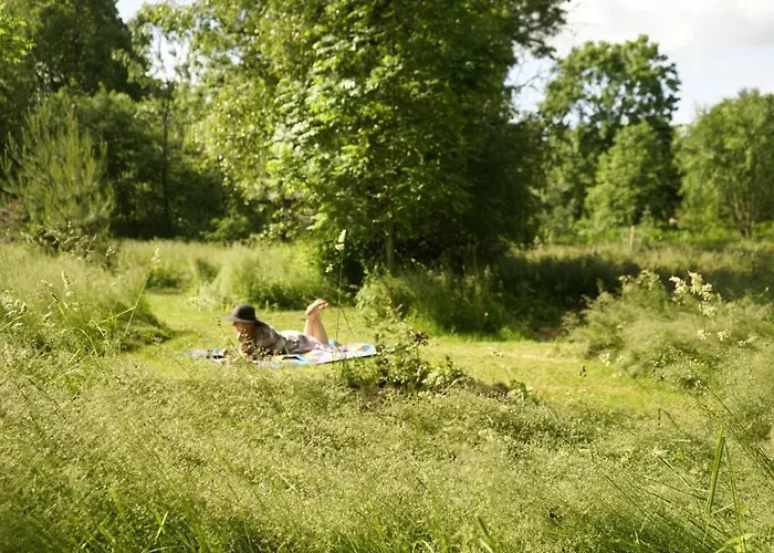 Uneallika Puhkemaja-kuelalistemaja