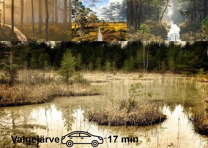 Uneallika Puhkemaja-kuelalistemaja Dom wakacyjny