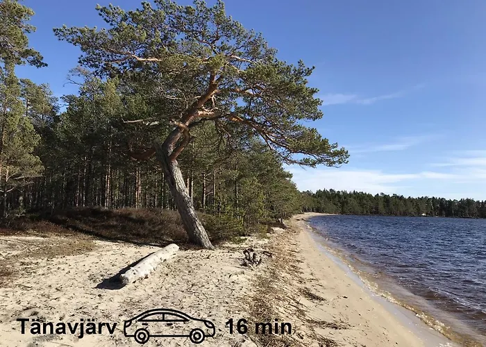 Uneallika Puhkemaja-kuelalistemaja *